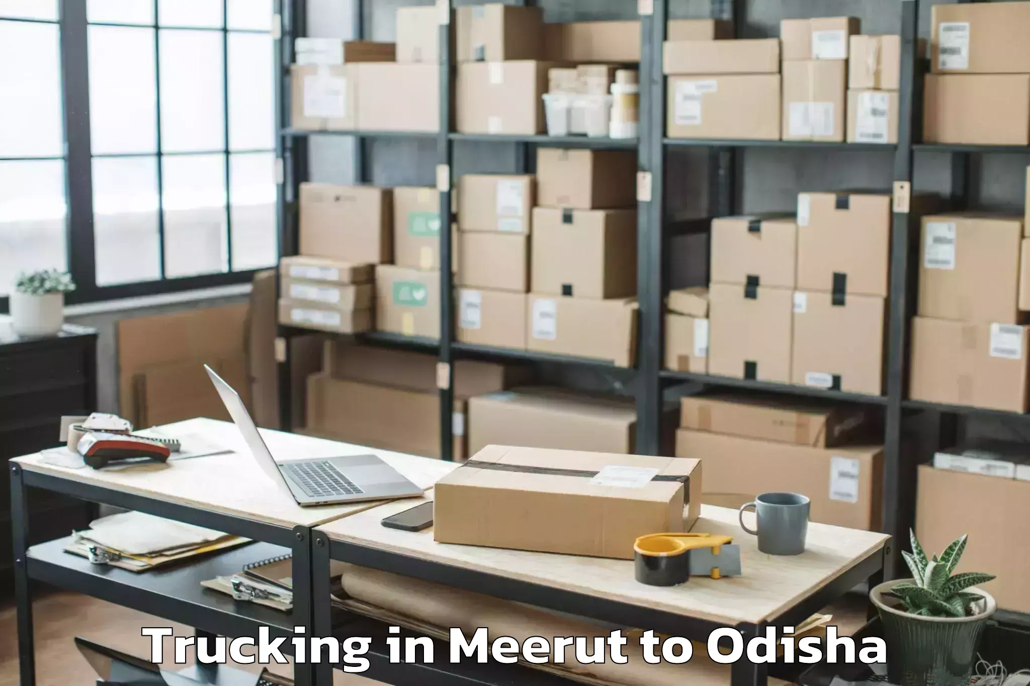 Hassle-Free Meerut to Banposh Trucking